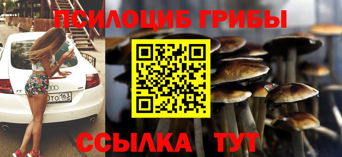 Псилоцибиновые грибы Cubensis  Вход с VPN  Галлюциногенные грибы MAGIC MUSHROOMS  Петропавловск-Камчатский 